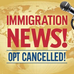 Cover art for OPT on the Chopping Block